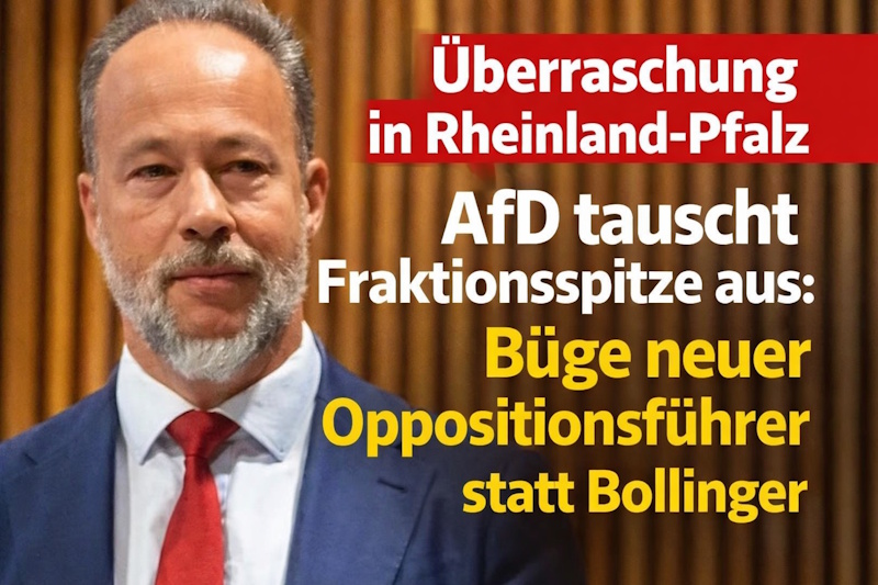 Jan Bollinger, AfD Rheinland-Pfalz