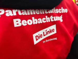 Parlamentarische Beobachtung oder Aktivismus bei Der Linke-Partei