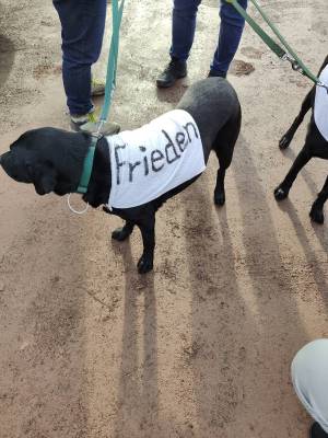 IMG20260117124905_original