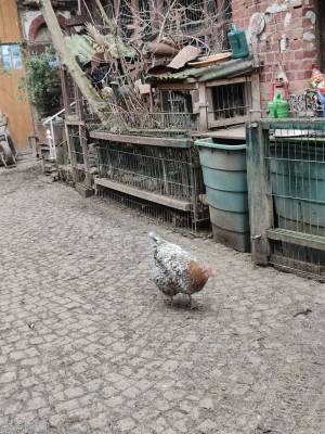 IMG20260215151431_original