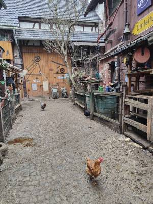 IMG20260215152223_original